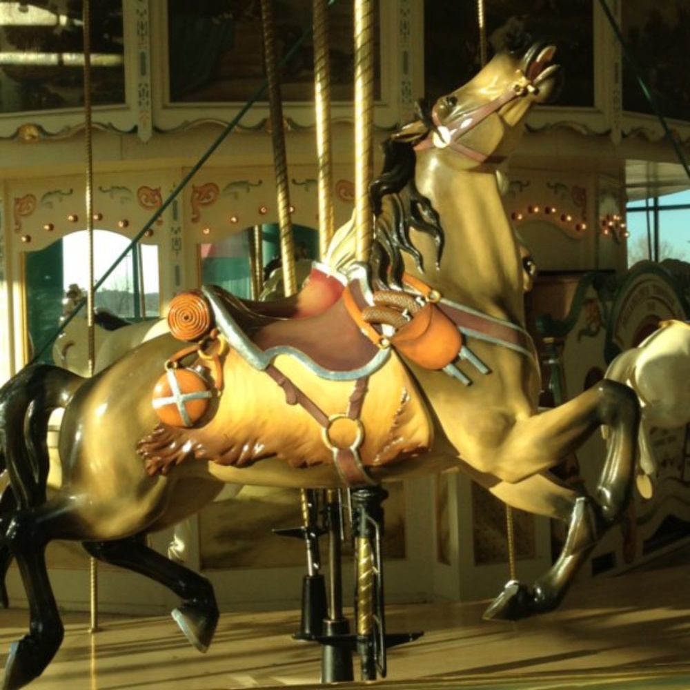 Meet your Posher, Lorrie